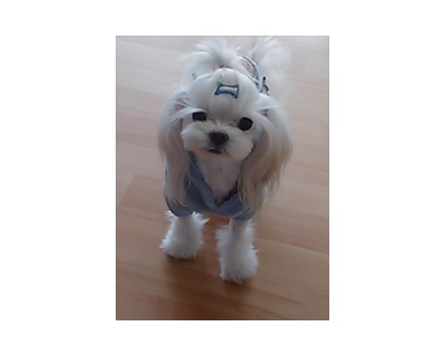 마루 [2021.03.07]