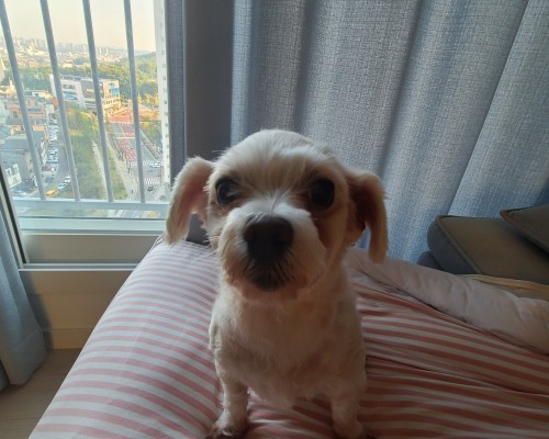 지뽕이[2022.03.26]