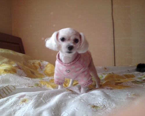 은지의 명복을 빕니다 (2019.02.12)